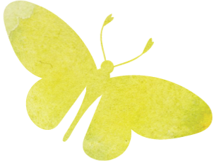 Butterfly background image
