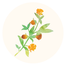 Jojoba Oil