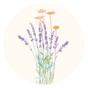 Lavender Chamomile