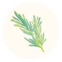 Rosemary Extract