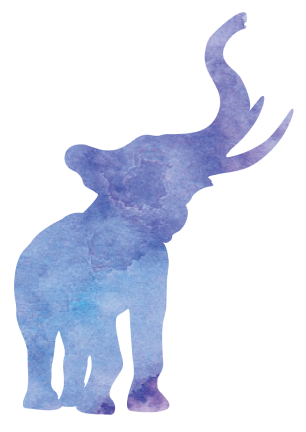 Elephant background image